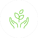 Hands Holding Leafs