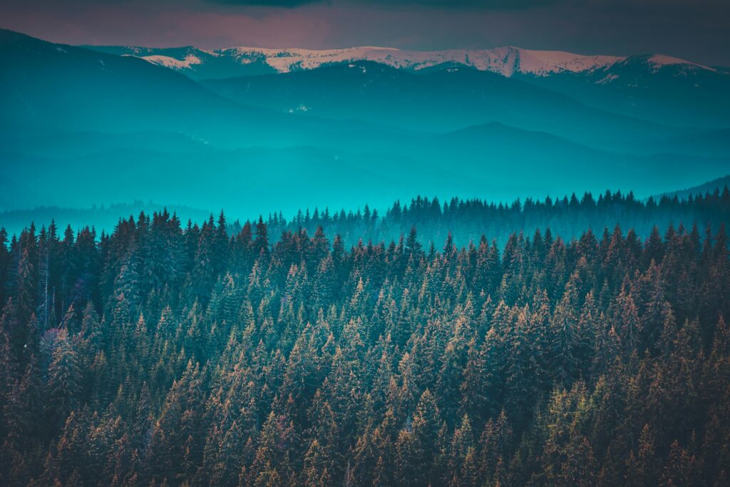 Fantastic mountain peaks and forest